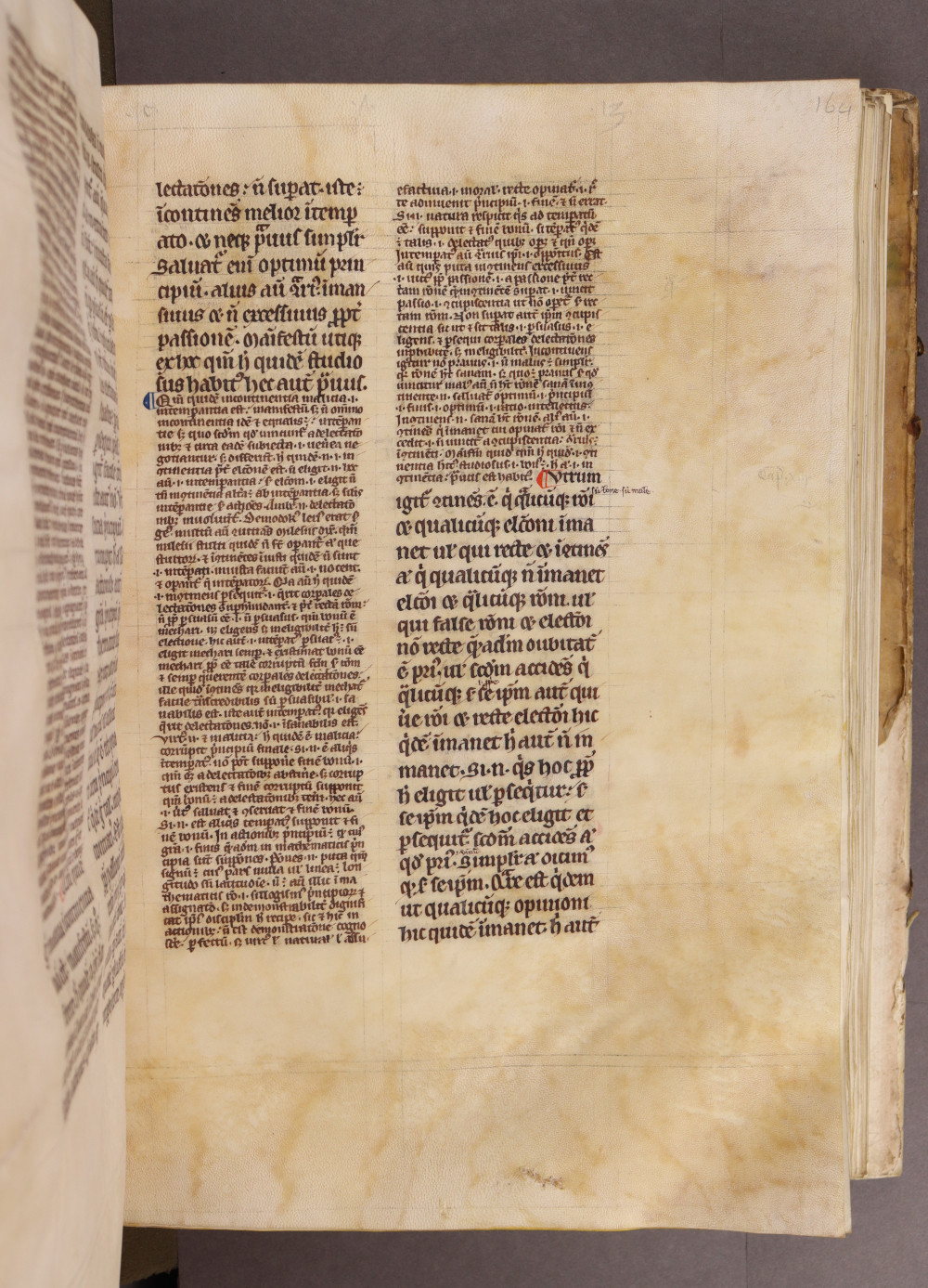 Folio 164 recto